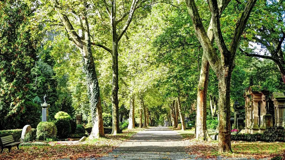 Hauptfriedhof